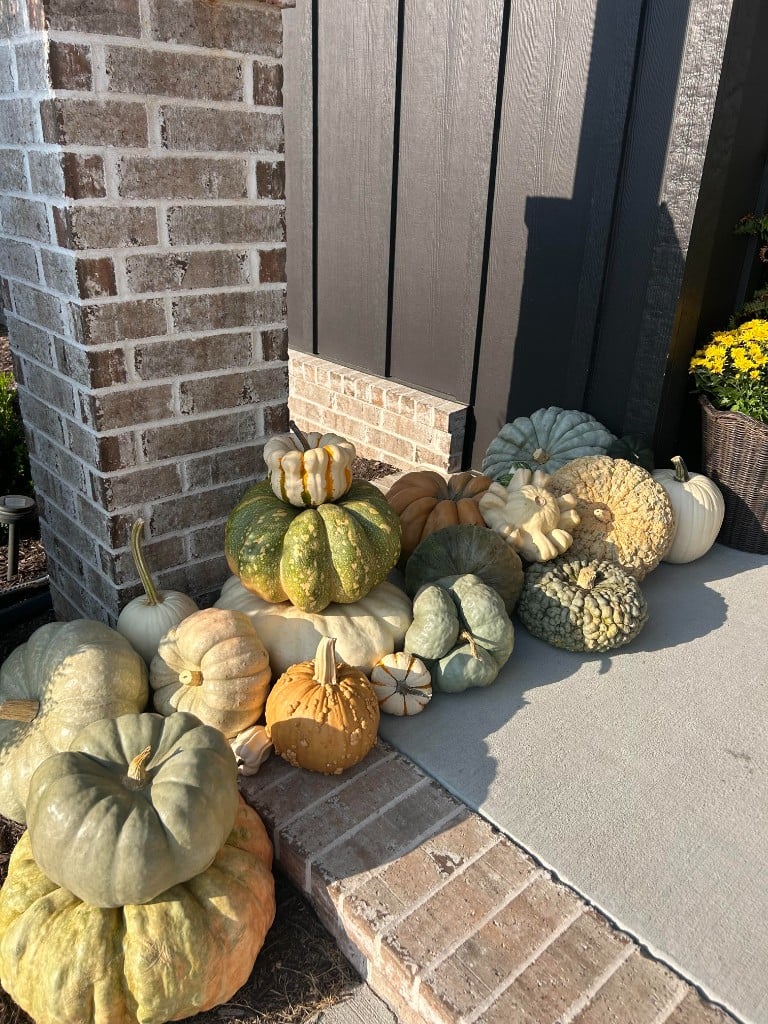 Heirloom pumpkins stacked along a brick entry