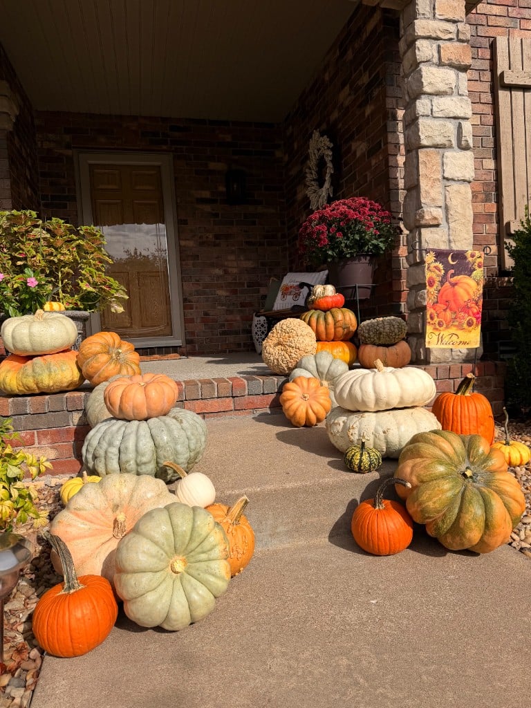 A brick porch with magenta mums and a welcome flag