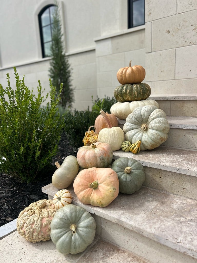 Heirloom pumpkins in sage, blush, and cream stacked on light stone steps