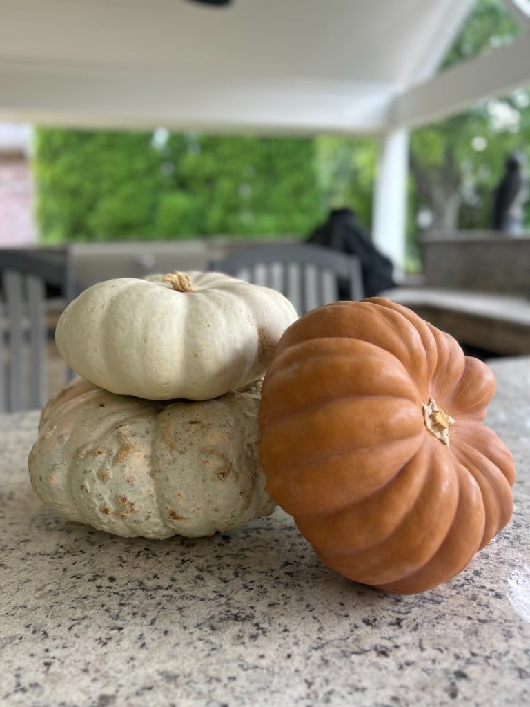 A white pumpkin stacked on a pale green warty pumpkin