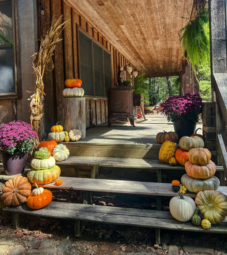 A wooden porch stacked with heirloom pumpkins, purple mums, and cornstalks